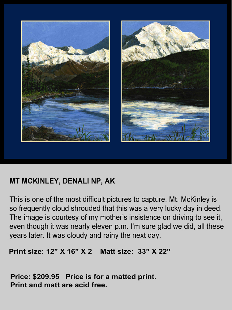 Mt McKinley AK